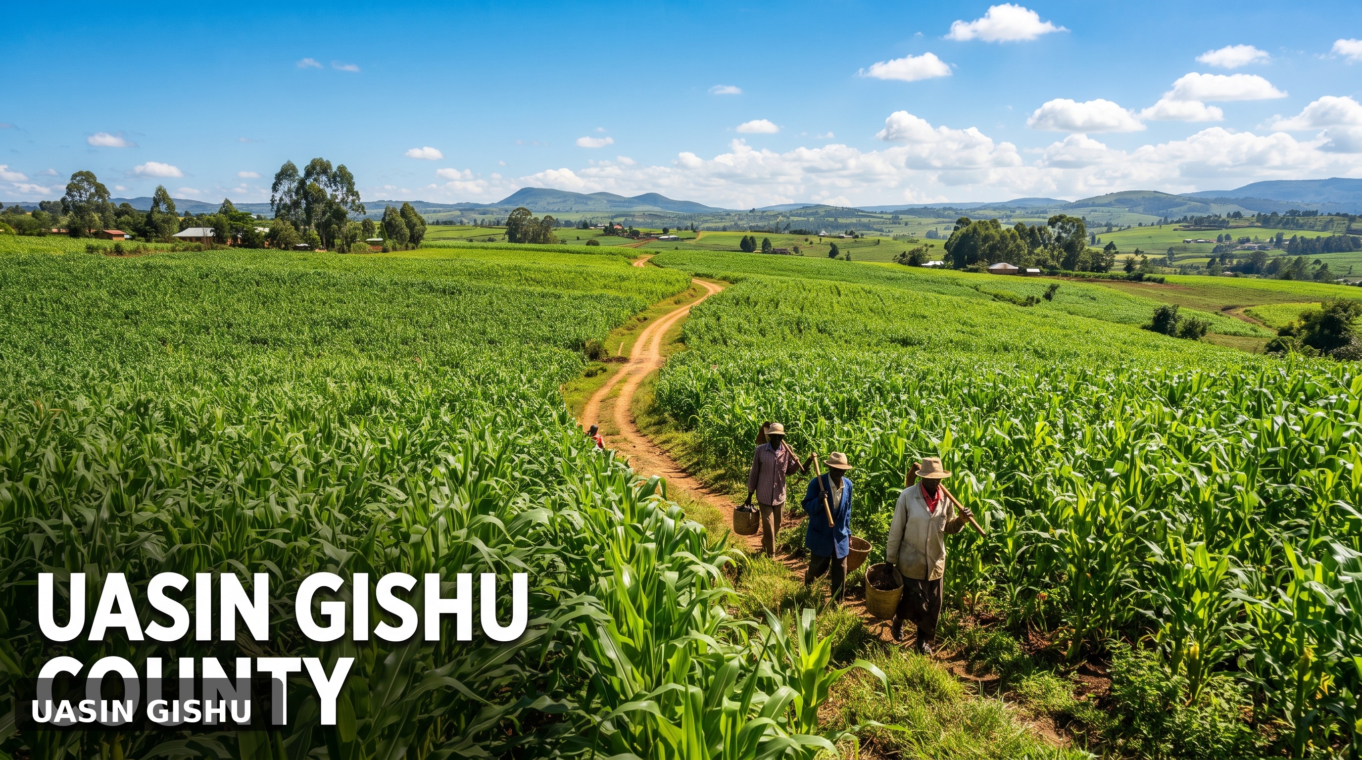 Uasin Gishu